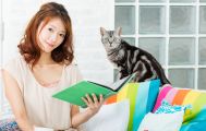 ネコ飼育の趣味