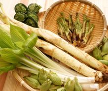 山菜採りの趣味