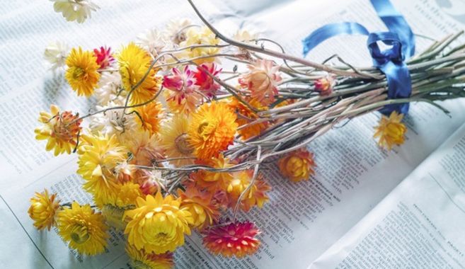 ドライフラワー