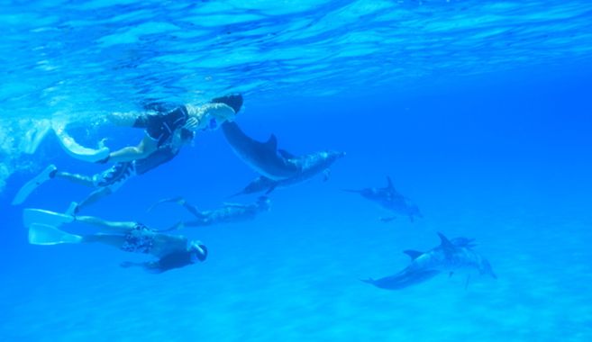 シュノーケリング