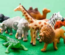 フィギュア集めの趣味