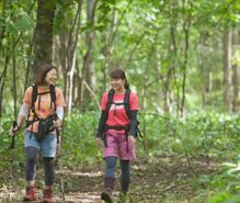トレッキングの趣味