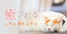 癒される趣味一覧