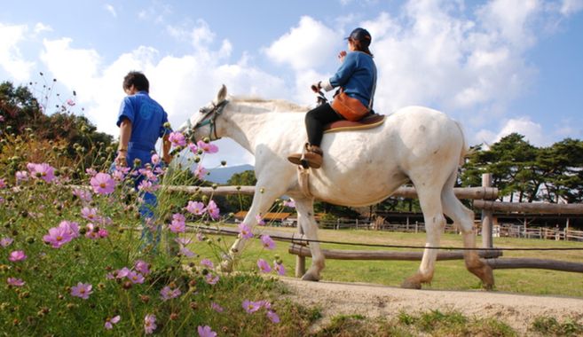 乗馬体験