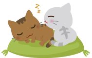 猫は心に寄り添ってくれる家族