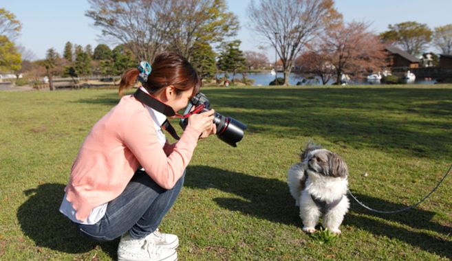 公園でペット撮影