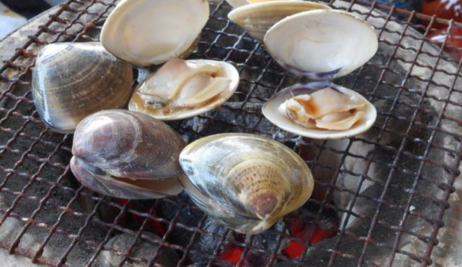 潮干狩りの思い出