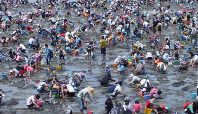 潮干狩りの魅力