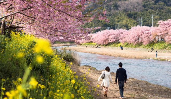 婚活趣味まとめ