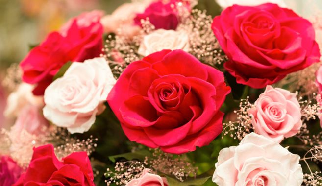 可憐さに憧れて―プリザーブドフラワーとの出会い