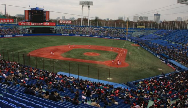 球場で生観戦を楽しんでいます