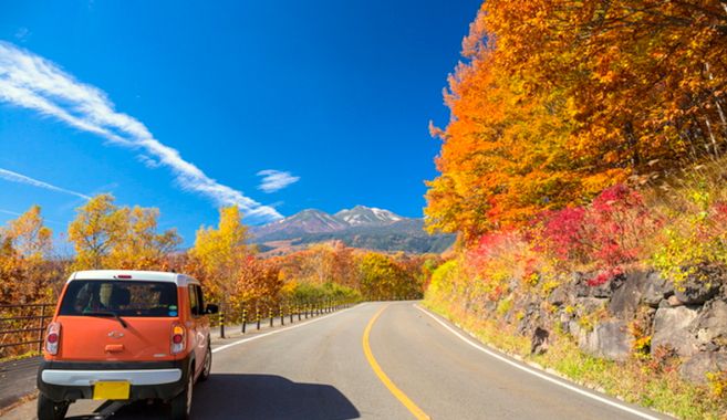 ドライブまとめ