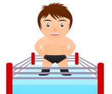 プロレス観戦の趣味