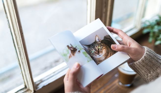 ペット写真の魅力