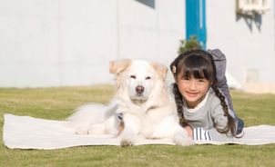 一緒に暮らしたい！カワイイ飼い犬　おすすめ５選の趣味