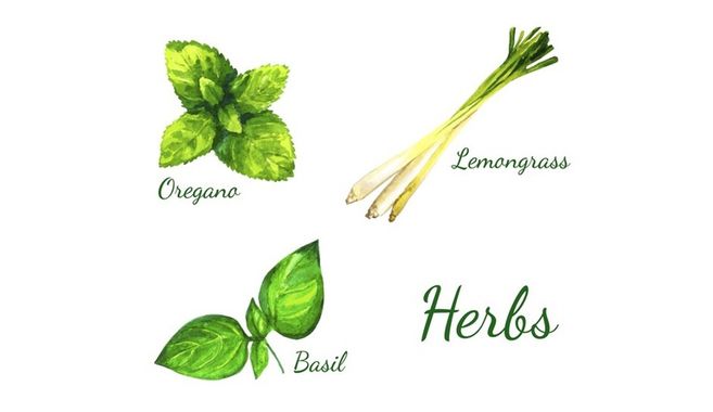 ボタニカルアート