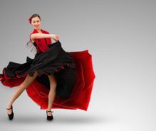 フラメンコの趣味