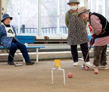 ゲートボールの趣味