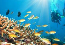 １度やるとハマるかもしれない趣味５選