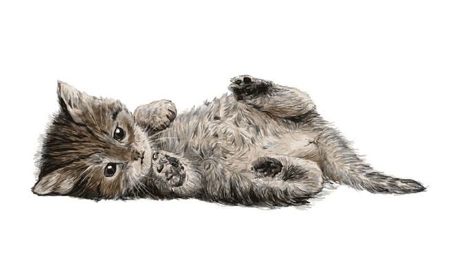 喜びも大きいネコ飼育