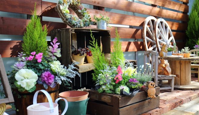 寄せ植えまとめ