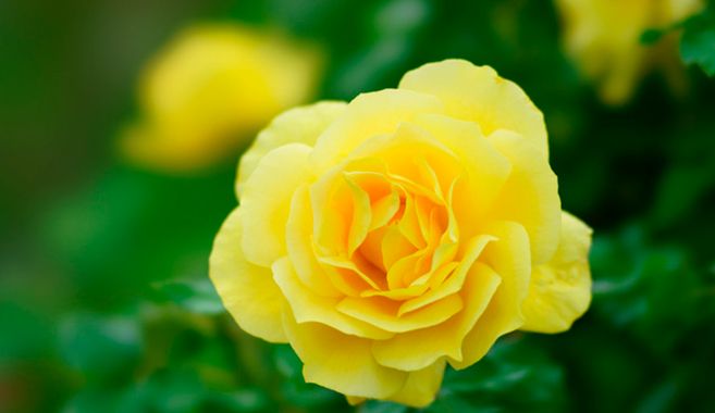 アンドレ・グランディエ