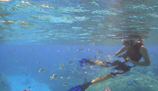 シュノーケリング