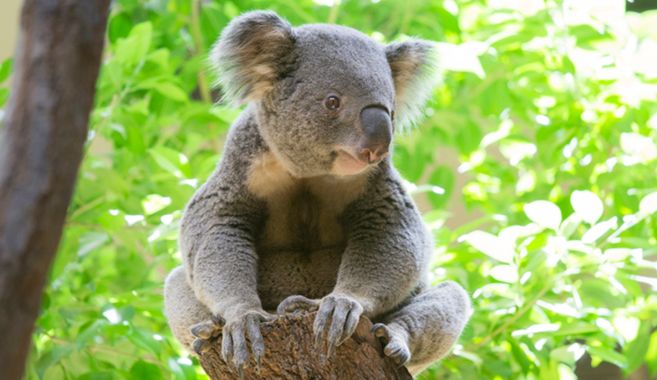 どこにしようか