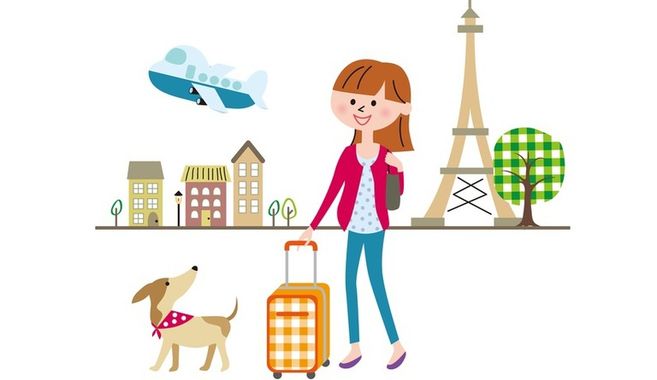 毎回新しい事に気づかされる趣味って最高！