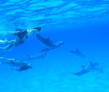 シュノーケリングの趣味