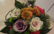 はじまりはカンゲキから
