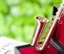 サックスの趣味