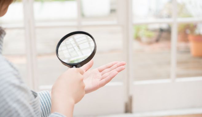 手相のはじめ方