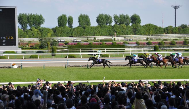 競馬