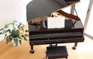 ピアノの趣味