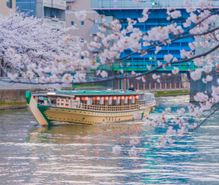 屋形船の趣味