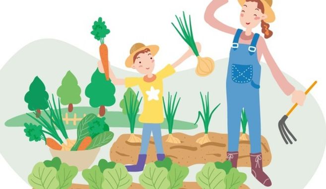 子供と家庭菜園を楽しんでいます