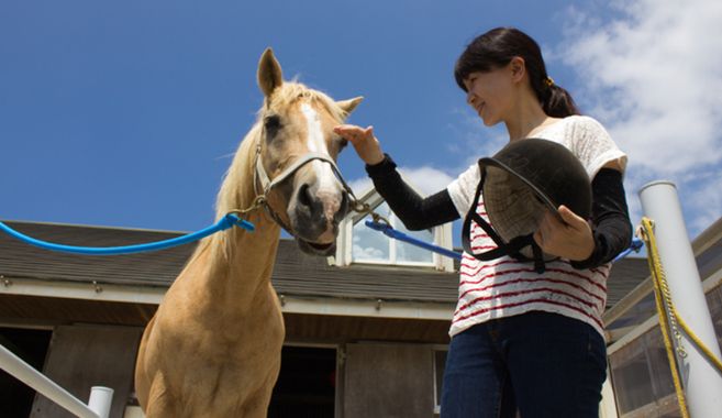 馬とのふれ合い