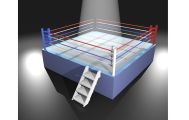 女性だって楽しめる！プロレス観戦のすすめ