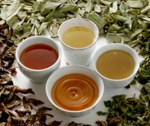 野草茶作りの趣味