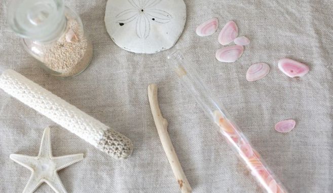 ビーチコーミングの魅力