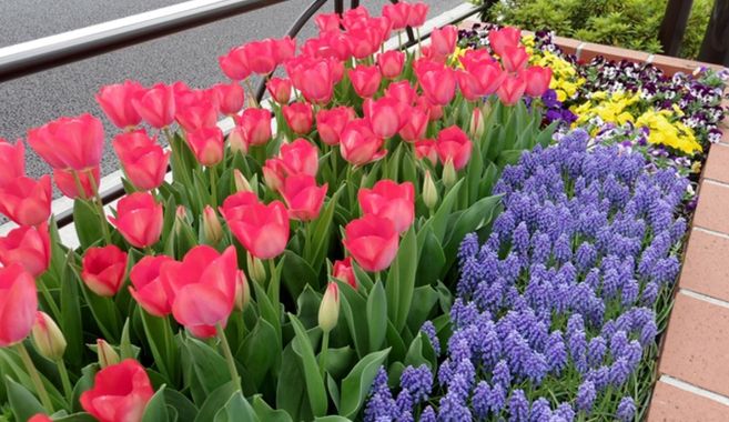 庭を決めよう！