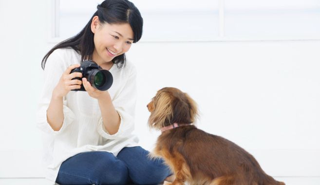 ペット写真まとめ