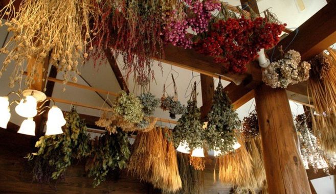 ドライフラワー自然乾燥