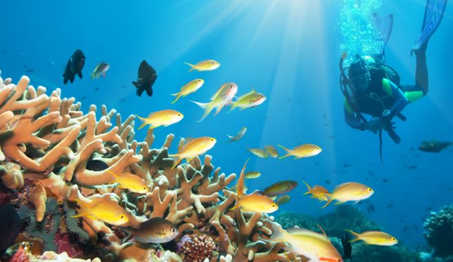 １度やるとハマるかもしれない趣味５選