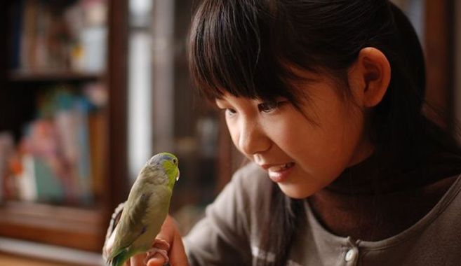 手乗りインコ