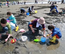 潮干狩りの趣味
