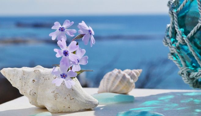 ビーチコーミング