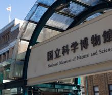 博物館めぐりの趣味