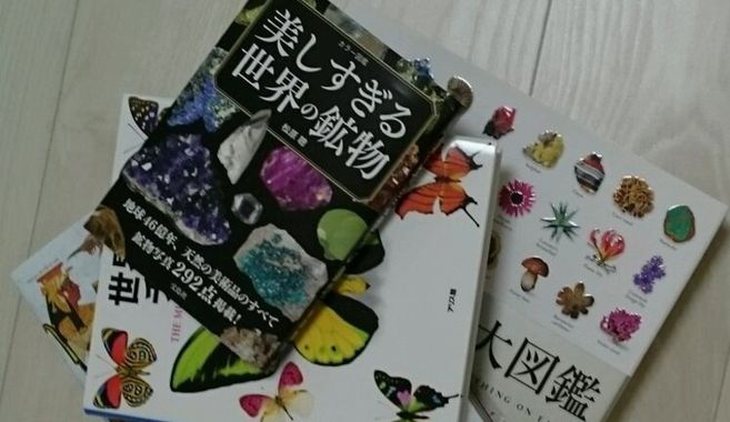 図鑑
